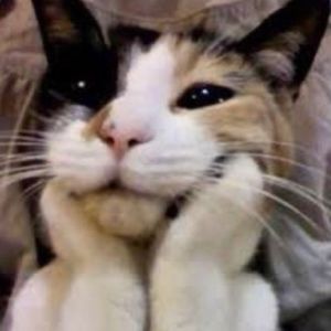 Meet your Posher, Jae